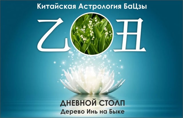 Столп Ба Цзы дерево инь на быке