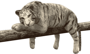 Столп Ба Цзы Дерево Ян на Тигре