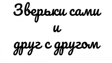 Фен шуй для любви