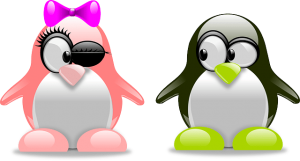 Необычный подарок в Новом Году